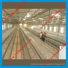 Temperature Control Chicken Shed